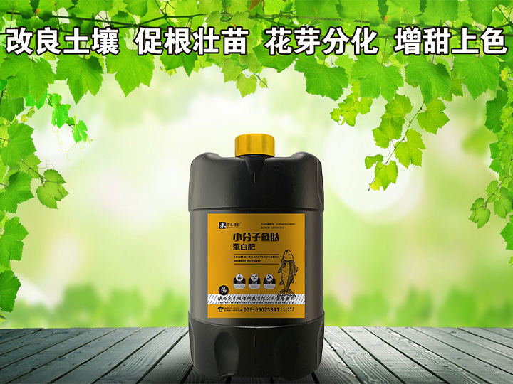 小分子魚肽（5Kg*4桶/箱）